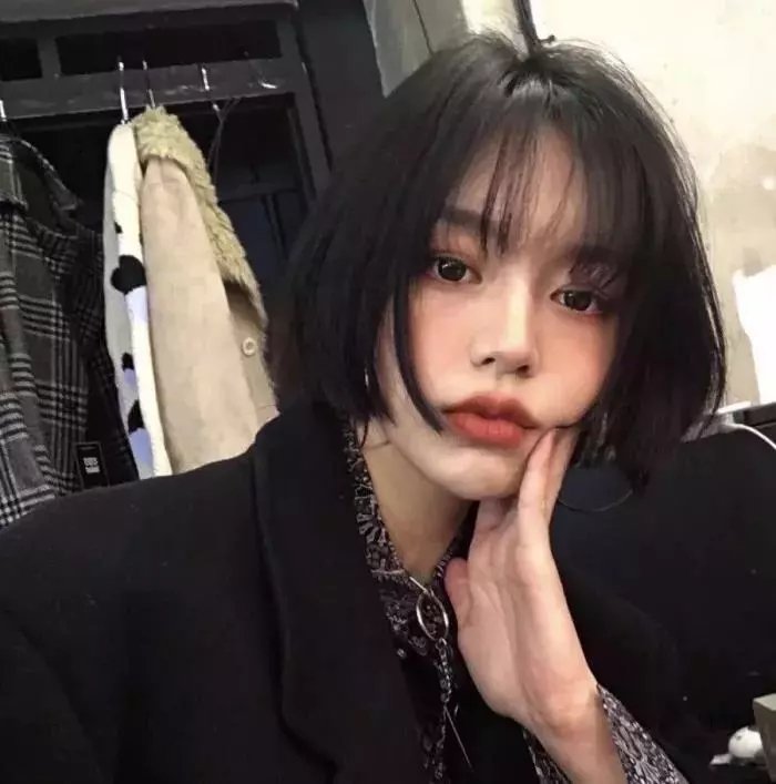 小姐与流氓2:狗儿逃家记